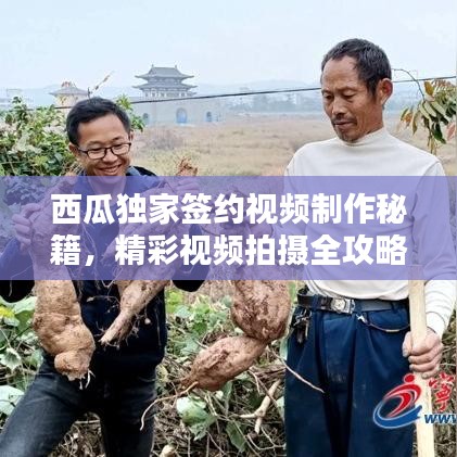 西瓜獨家簽約視頻制作秘籍，精彩視頻拍攝全攻略