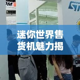 迷你世界售貨機魅力揭秘，排名與探索微型售貨機的無限魅力