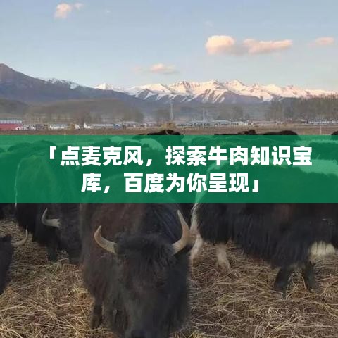 「點(diǎn)麥克風(fēng)，探索牛肉知識寶庫，百度為你呈現(xiàn)」