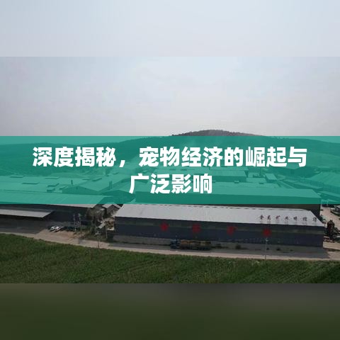 深度揭秘，寵物經(jīng)濟(jì)的崛起與廣泛影響
