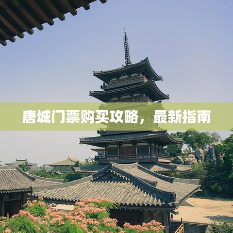 唐城門票購買攻略，最新指南