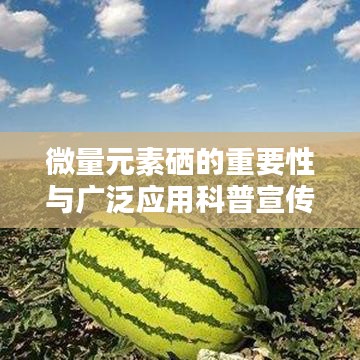 微量元素硒的重要性與廣泛應(yīng)用科普宣傳啟動(dòng)！