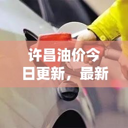 許昌油價今日更新，最新油價信息一覽