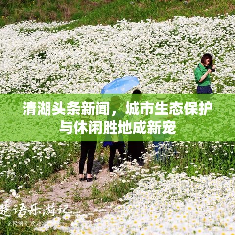 清湖頭條新聞，城市生態(tài)保護(hù)與休閑勝地成新寵