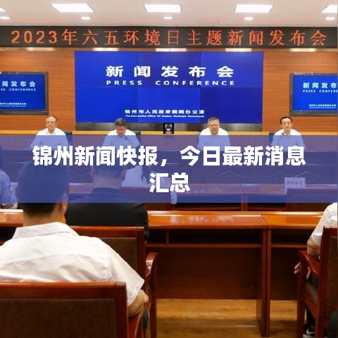 錦州新聞快報，今日最新消息匯總