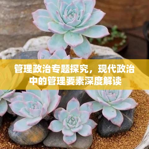 管理政治專題探究，現(xiàn)代政治中的管理要素深度解讀