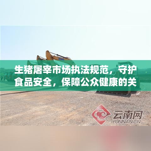 生豬屠宰市場(chǎng)執(zhí)法規(guī)范，守護(hù)食品安全，保障公眾健康的關(guān)鍵環(huán)節(jié)