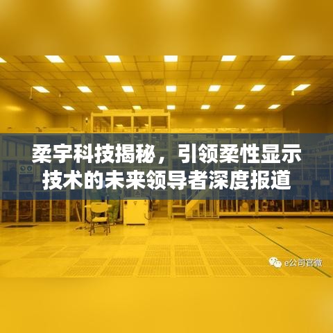 輕徙鳥舉 第3頁(yè)