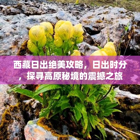 西藏日出絕美攻略，日出時(shí)分，探尋高原秘境的震撼之旅