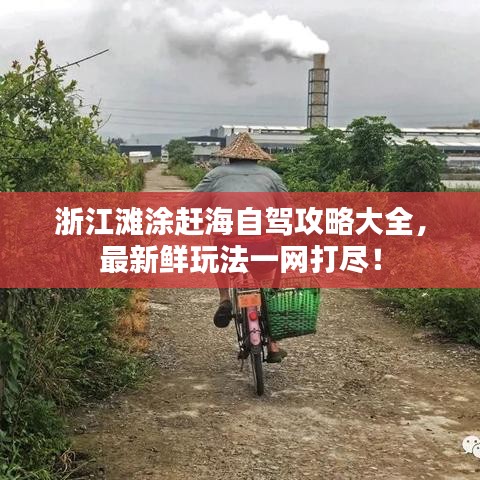 浙江灘涂趕海自駕攻略大全，最新鮮玩法一網(wǎng)打盡！