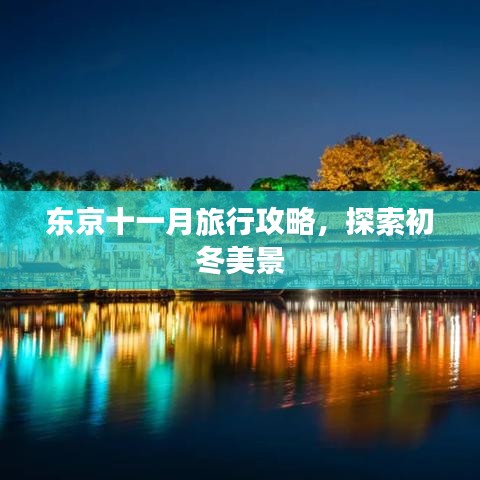 東京十一月旅行攻略，探索初冬美景