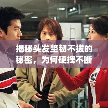 揭秘頭發(fā)堅韌不拔的秘密，為何硬拽不斷？
