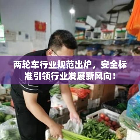 兩輪車行業(yè)規(guī)范出爐，安全標(biāo)準(zhǔn)引領(lǐng)行業(yè)發(fā)展新風(fēng)向！