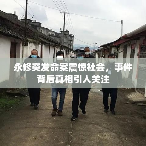 永修突發(fā)命案震驚社會，事件背后真相引人關注