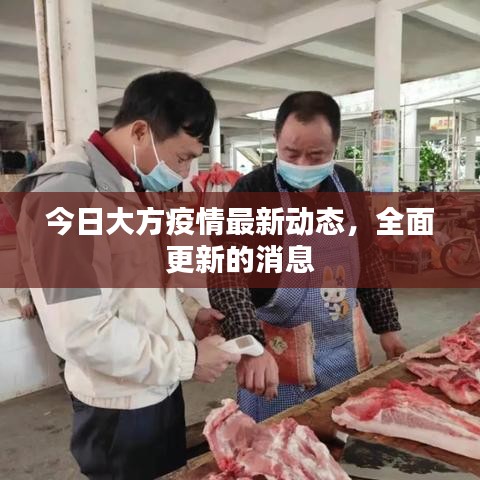 今日大方疫情最新動態(tài)，全面更新的消息