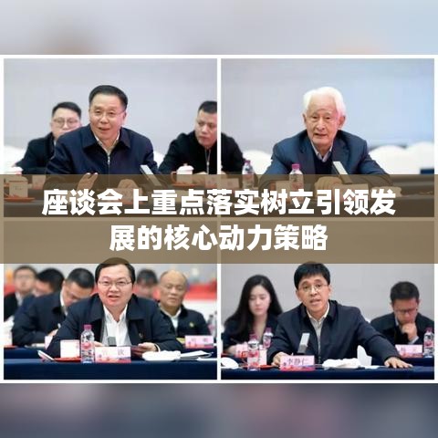 座談會上重點落實樹立引領(lǐng)發(fā)展的核心動力策略