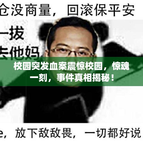 校園突發(fā)血案震驚校園，驚魂一刻，事件真相揭秘！