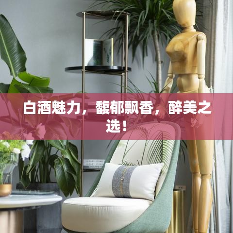 白酒魅力，馥郁飄香，醉美之選！