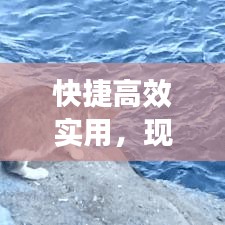 快捷高效實用，現(xiàn)代生活的首選生活方式