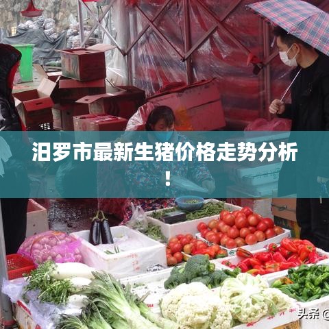 汨羅市最新生豬價格走勢分析！