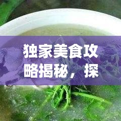 獨(dú)家美食攻略揭秘，探索味蕾盛宴的極致之旅