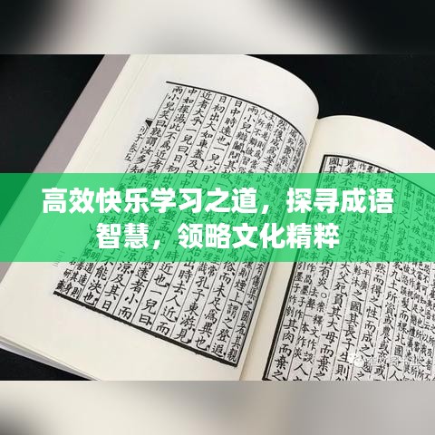 高效快樂學(xué)習(xí)之道，探尋成語智慧，領(lǐng)略文化精粹