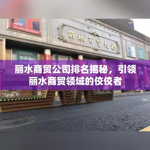 麗水商貿(mào)公司排名揭秘，引領(lǐng)麗水商貿(mào)領(lǐng)域的佼佼者