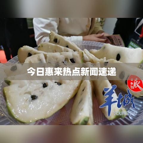 今日惠來(lái)熱點(diǎn)新聞速遞