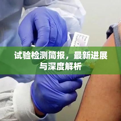 試驗檢測簡報，最新進展與深度解析
