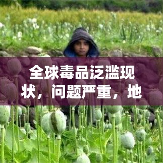 全球毒品泛濫現(xiàn)狀，問題嚴(yán)重，地區(qū)排名與治理挑戰(zhàn)
