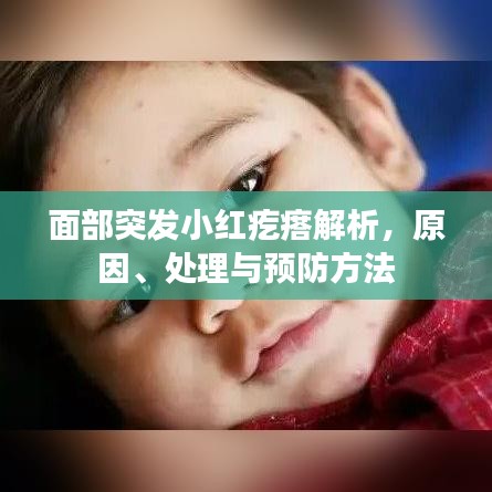 面部突發(fā)小紅疙瘩解析，原因、處理與預(yù)防方法