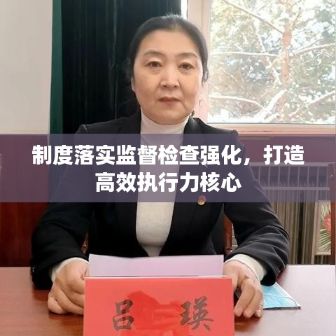 制度落實監(jiān)督檢查強化，打造高效執(zhí)行力核心