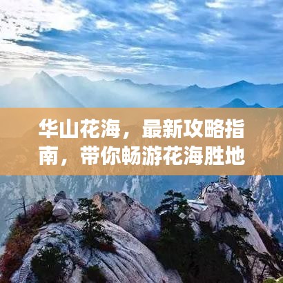 華山花海，最新攻略指南，帶你暢游花海勝地！