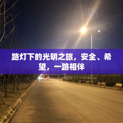 路燈下的光明之旅，安全、希望，一路相伴