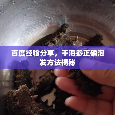 百度經(jīng)驗分享，干海參正確泡發(fā)方法揭秘