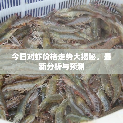 今日對蝦價格走勢大揭秘，最新分析與預測