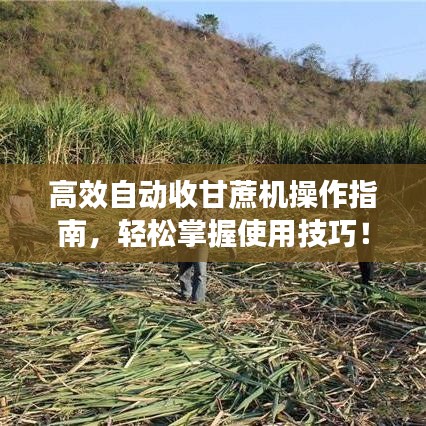 高效自動收甘蔗機操作指南，輕松掌握使用技巧！