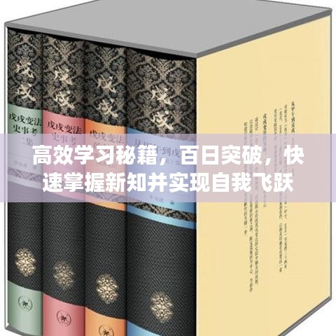 高效學(xué)習(xí)秘籍，百日突破，快速掌握新知并實(shí)現(xiàn)自我飛躍