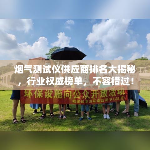 煙氣測試儀供應商排名大揭秘，行業(yè)權(quán)威榜單，不容錯過！
