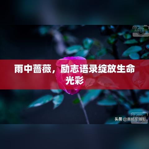 生張熟魏 第2頁