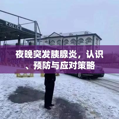 夜晚突發(fā)胰腺炎，認(rèn)識(shí)、預(yù)防與應(yīng)對(duì)策略