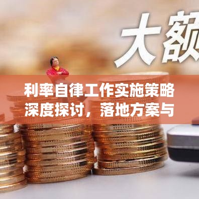 利率自律工作實(shí)施策略深度探討，落地方案與效果展望