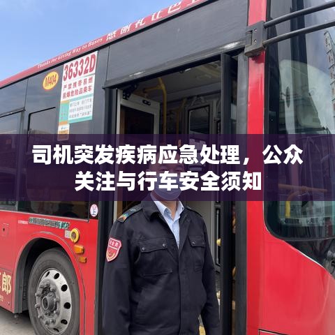司機(jī)突發(fā)疾病應(yīng)急處理，公眾關(guān)注與行車安全須知