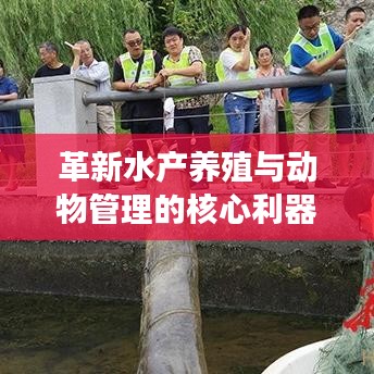 革新水產(chǎn)養(yǎng)殖與動(dòng)物管理的核心利器，新型高效智能地籠