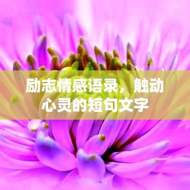勵(lì)志情感語(yǔ)錄，觸動(dòng)心靈的短句文字