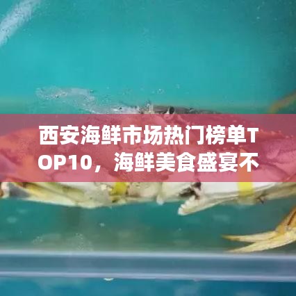 西安海鮮市場熱門榜單TOP10，海鮮美食盛宴不容錯過！