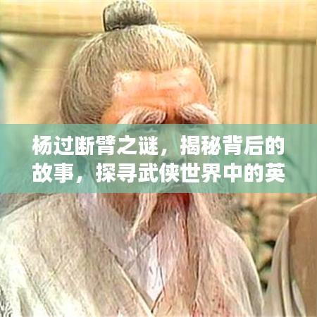 楊過(guò)斷臂之謎，揭秘背后的故事，探尋武俠世界中的英雄傳奇！