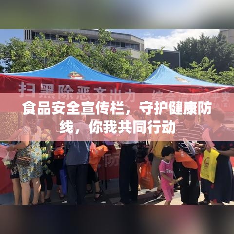 食品安全宣傳欄，守護(hù)健康防線，你我共同行動(dòng)