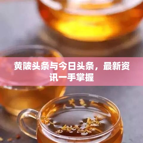 黃陂頭條與今日頭條，最新資訊一手掌握