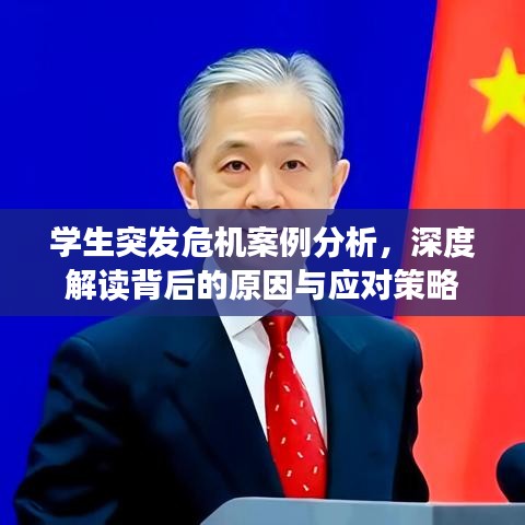 學生突發(fā)危機案例分析，深度解讀背后的原因與應對策略